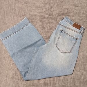 Carly Jean Los Angeles CJLA "Mer" Jeans